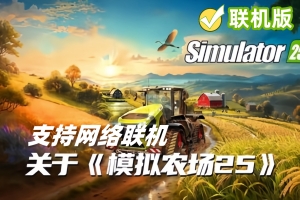 模拟农场25/Farming Simulator 25/支持网络联机