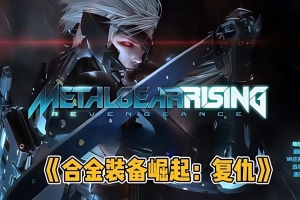 合金装备崛起：复仇 / METAL GEAR RISING REVENGEANCE