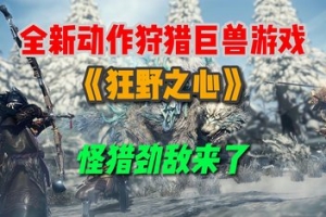 狂野之心/WILD HEARTS