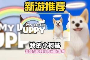 我的小柯基/My Little Puppy