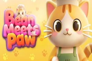 猫遇咖啡|官方中文|BeanMeetsPaw